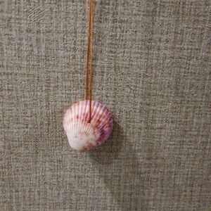 Seashell necklace